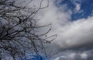 Kthjellime, vranësira dhe reshje, ja si do të jetë moti gjatë ditës së sotme