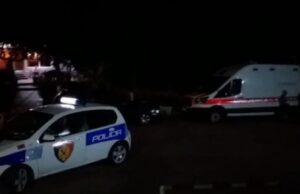 Tronditet Divjaka/ 58-vjeçari vret gruan me armë gjahu, i jep fund dhe jetës së tij