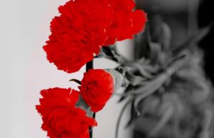 Edi Rama: Duam drejtësi për 21 janarin!