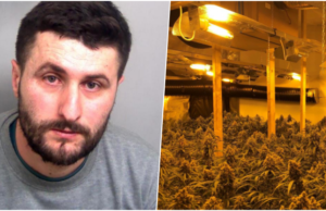 U fut ilegalisht në Angli/ 26-vjeçari shqiptar nis punë në “shtëpinë e barit”, por e pëson keq