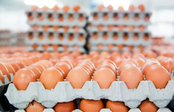 Rritja e radhës/ Shkon në qiell çmimi i vezëve