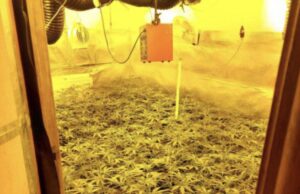 Zbulohet shtëpia e barit në Tiranë, 31-vjeçari hidhet nga kati i 3 për t’i shpëtuar prangave