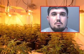 Shqiptari në Angli kapet me ‘shtëpi bari’: Më duhen para, nëna do operohet në zemër