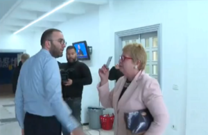 Incident në fjalimin e Enkelejd Alibeajt! Një grua futet në sallë dhe bërtet me të madhe