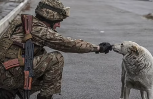 Ushtarët rusë tregojnë se kanë ngrënë mish qeni në Ukrainë për të mbijetuar