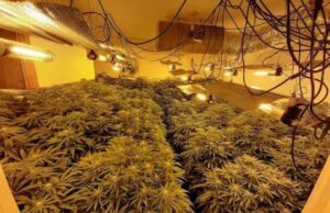 Ishin duke fjetur gjumë, dy shqiptarë arrestohen brenda shtëpisë së barit