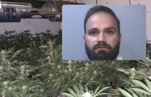 Shqiptarit i premtojnë punë në Angli: Paguan 22.000 £ për të ikur por kapet duke ruajtur kanabis