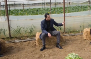 Pa dashurinë e doktorit dhe të servilave në PD/ Ditëlindja e vetmuar e Lulit