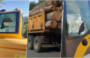 Prrenjas: Ata që presin pyjet pa leje, shkatërrojnë fadromën e bashkisë!