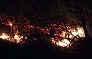 Turistët i vënë flakën ishullit të Sazanit