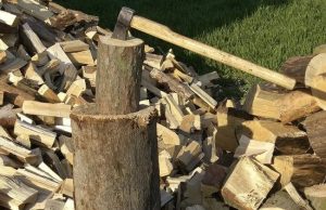 Dyfishohet çmimi i druve, shkon 75 mijë lekë metër kubi